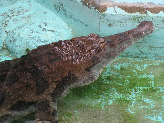 P1010020.JPG