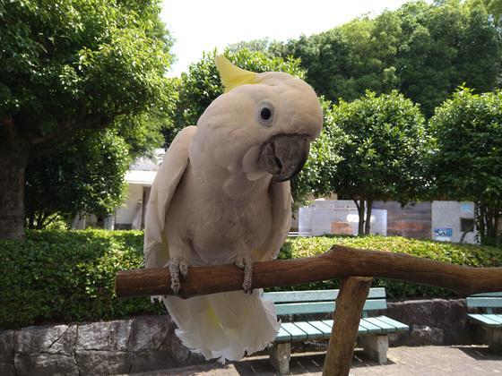 DSC_1865.JPG