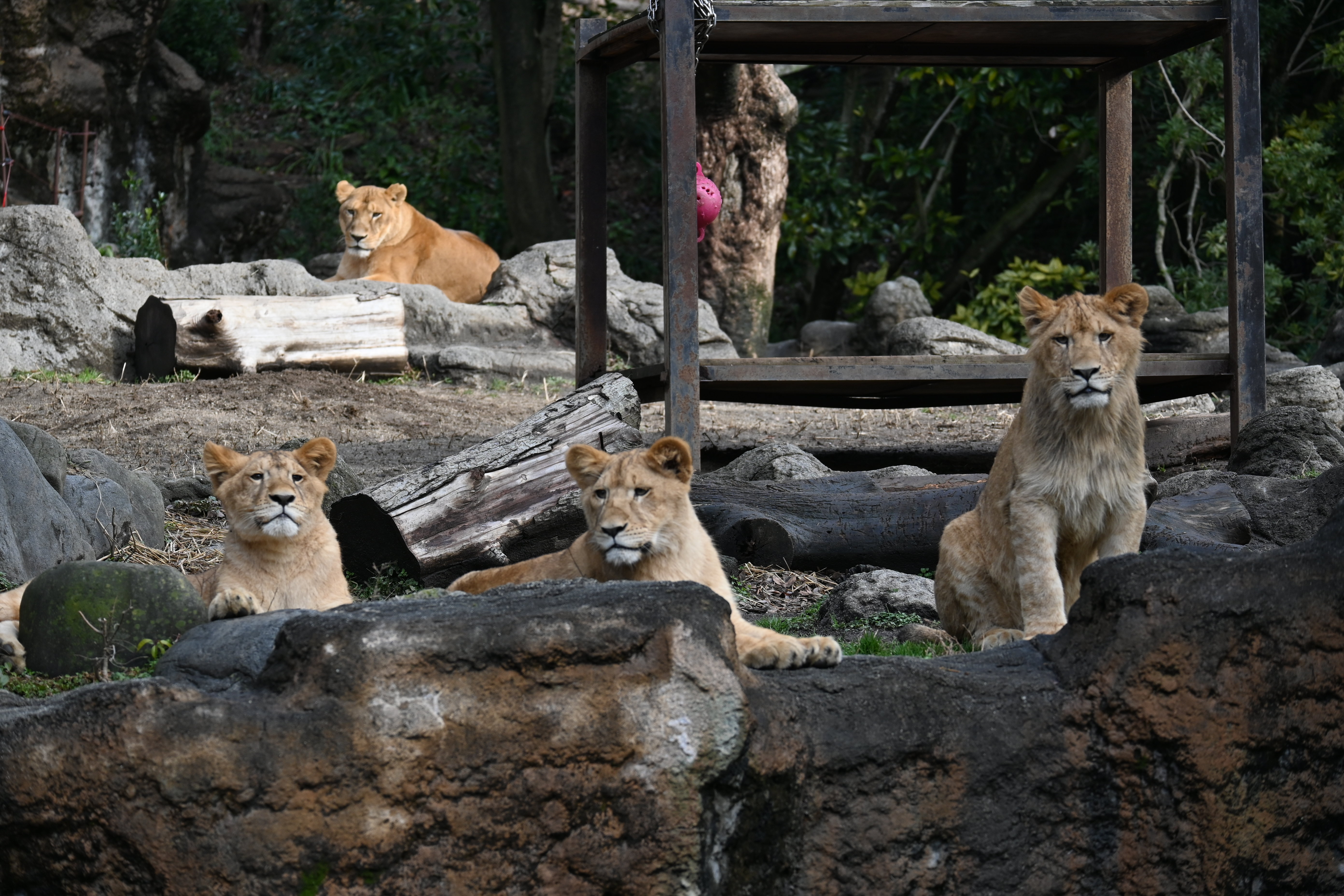 DSC_3037.JPG