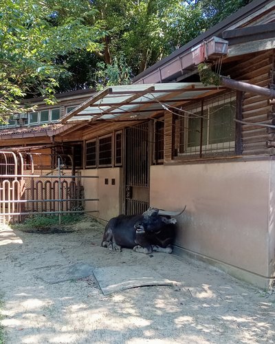 DSC_7042 - コピー.jpg