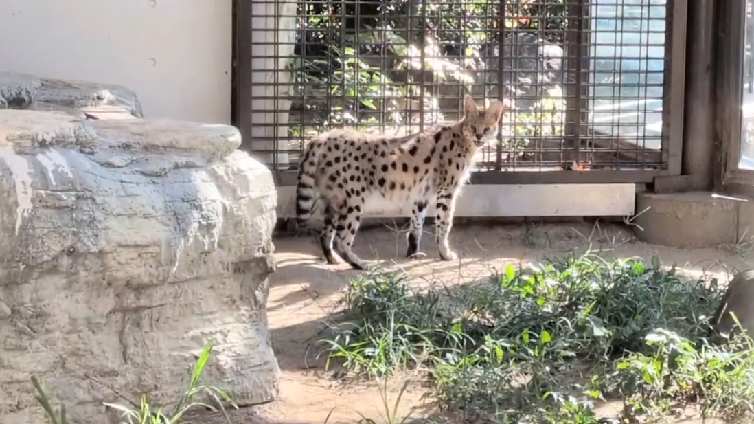 スクリーンショット 2025-11-26 143718.png