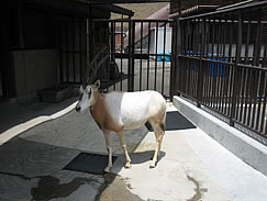 200906_img3.jpg