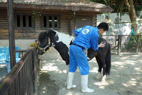 20160516142738.JPG