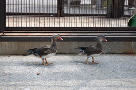 20160922114650.JPG
