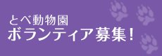 とべ動物園ボランティア募集