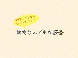 動物なんでも相談