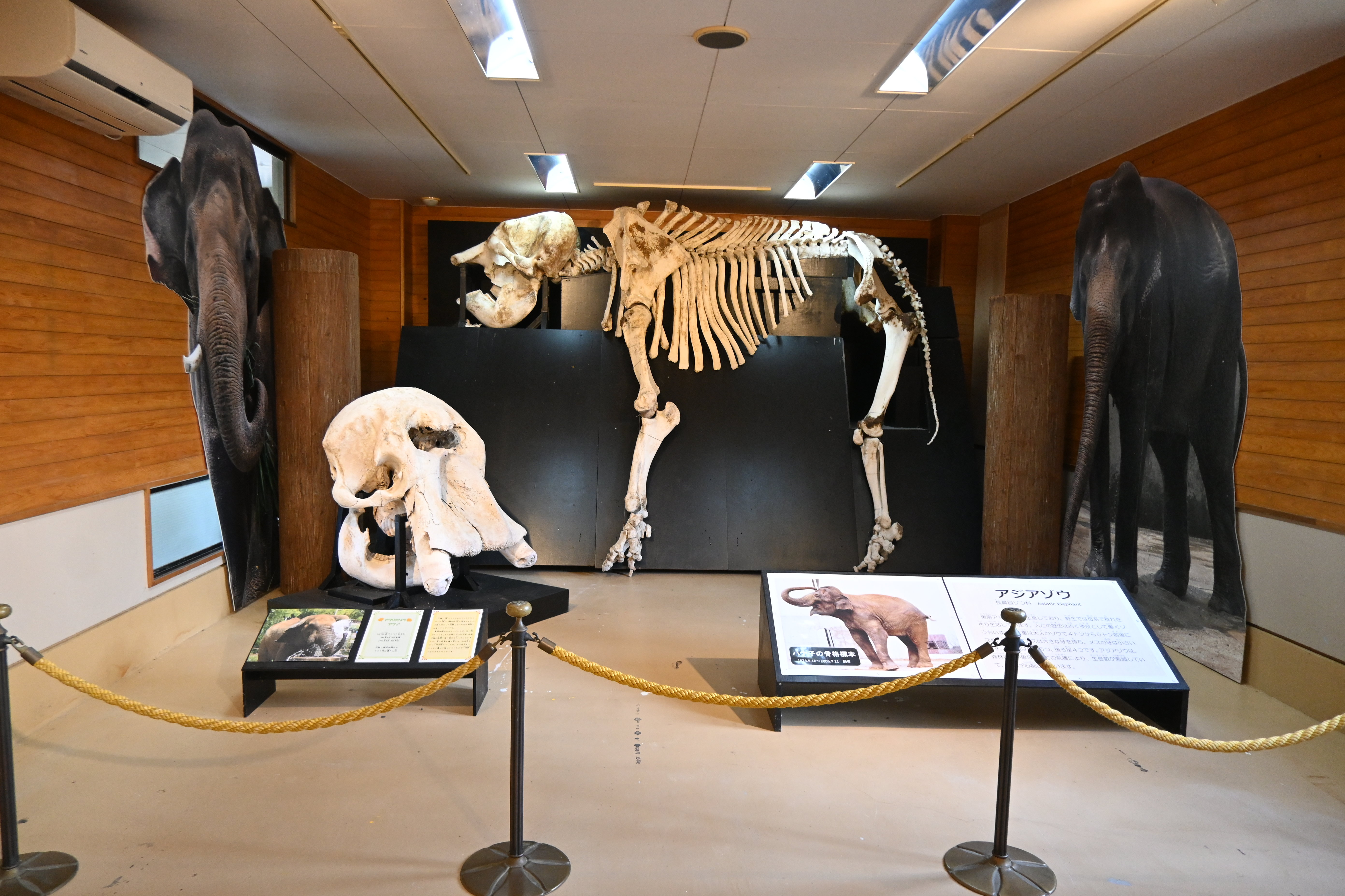 企画展「おとしもの展」