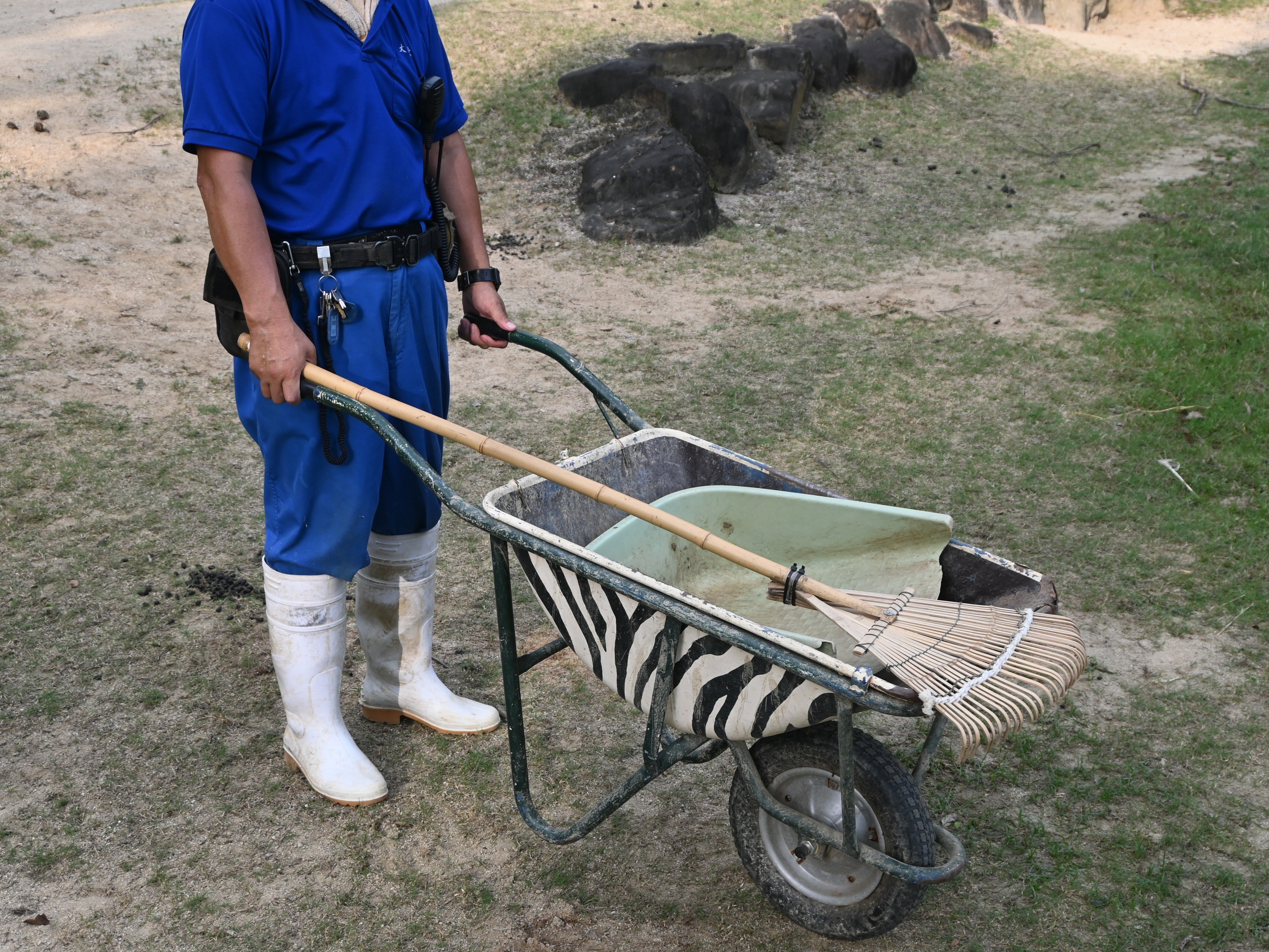 飼育員にチャレンジ