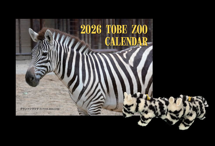 お年玉プレゼント