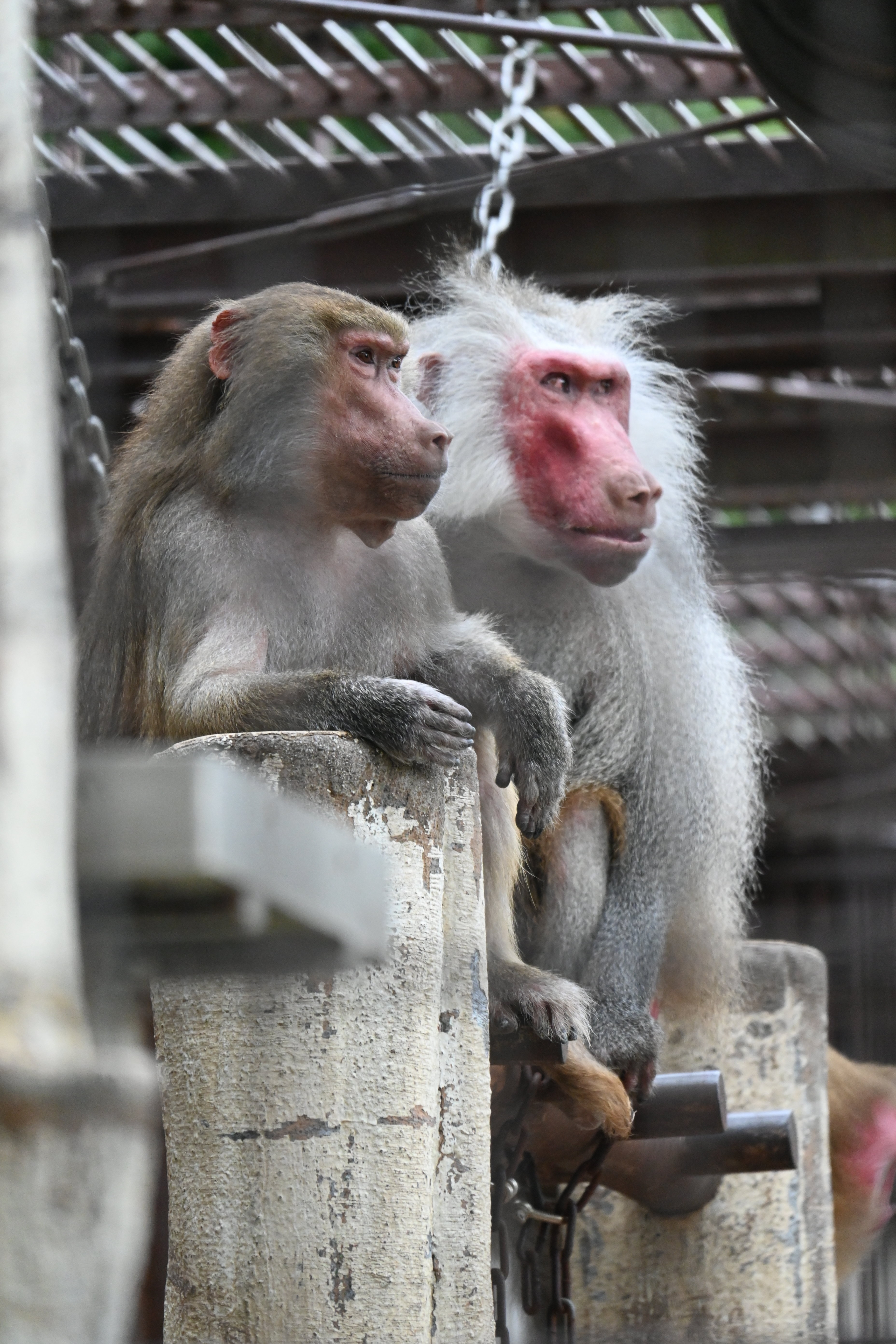 園内まったりお散歩のんびり編 冬休み特別バージョン