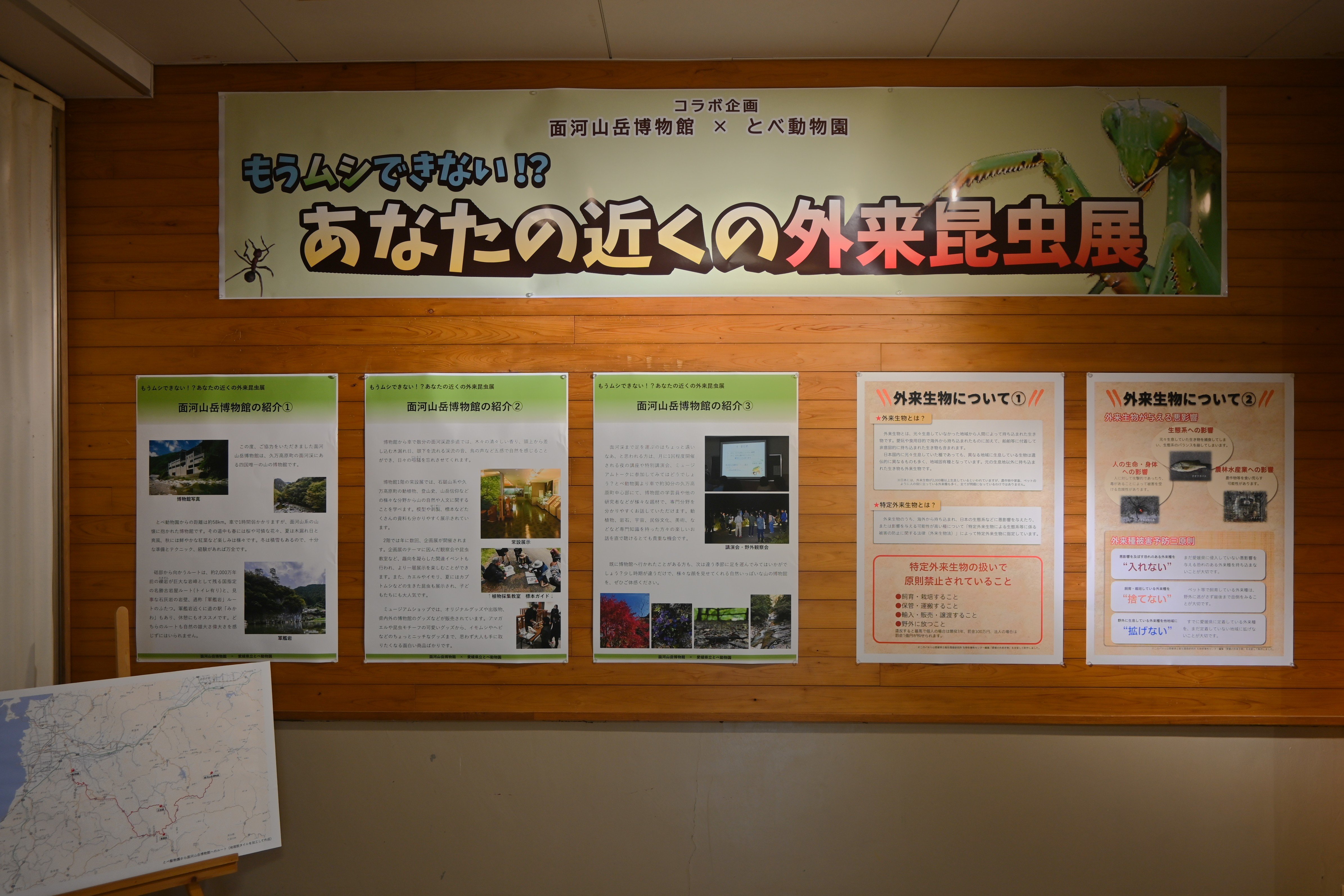 面河山岳博物館コラボ企画「もうムシできない!?あなたの近くの外来昆虫展」