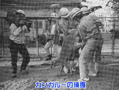 history_img5.jpg