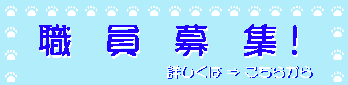 職員募集について