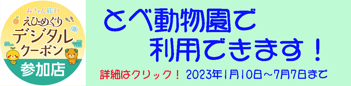えひめぐり旅割クーポンについて