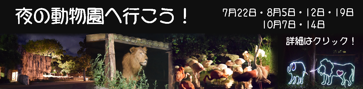 夜の動物園