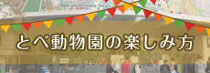 動物園の楽しみ方