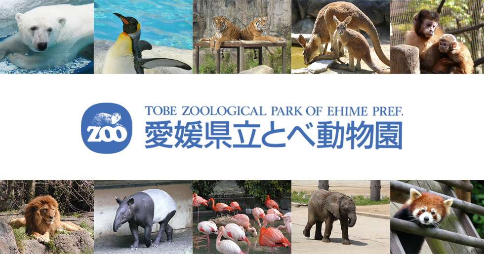 愛媛県立とべ動物園のイベント情報のリストです。