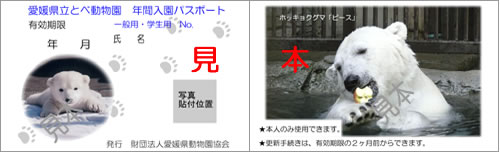 年間入園パスポート見本