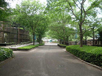 緑豊かな園内