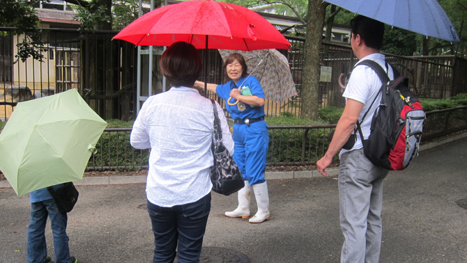 ガイドを聞きながらまったり園内をお散歩しましょう