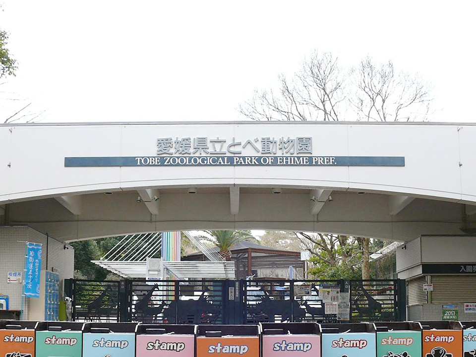 ご案内