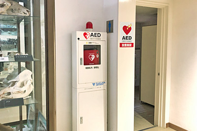 AED