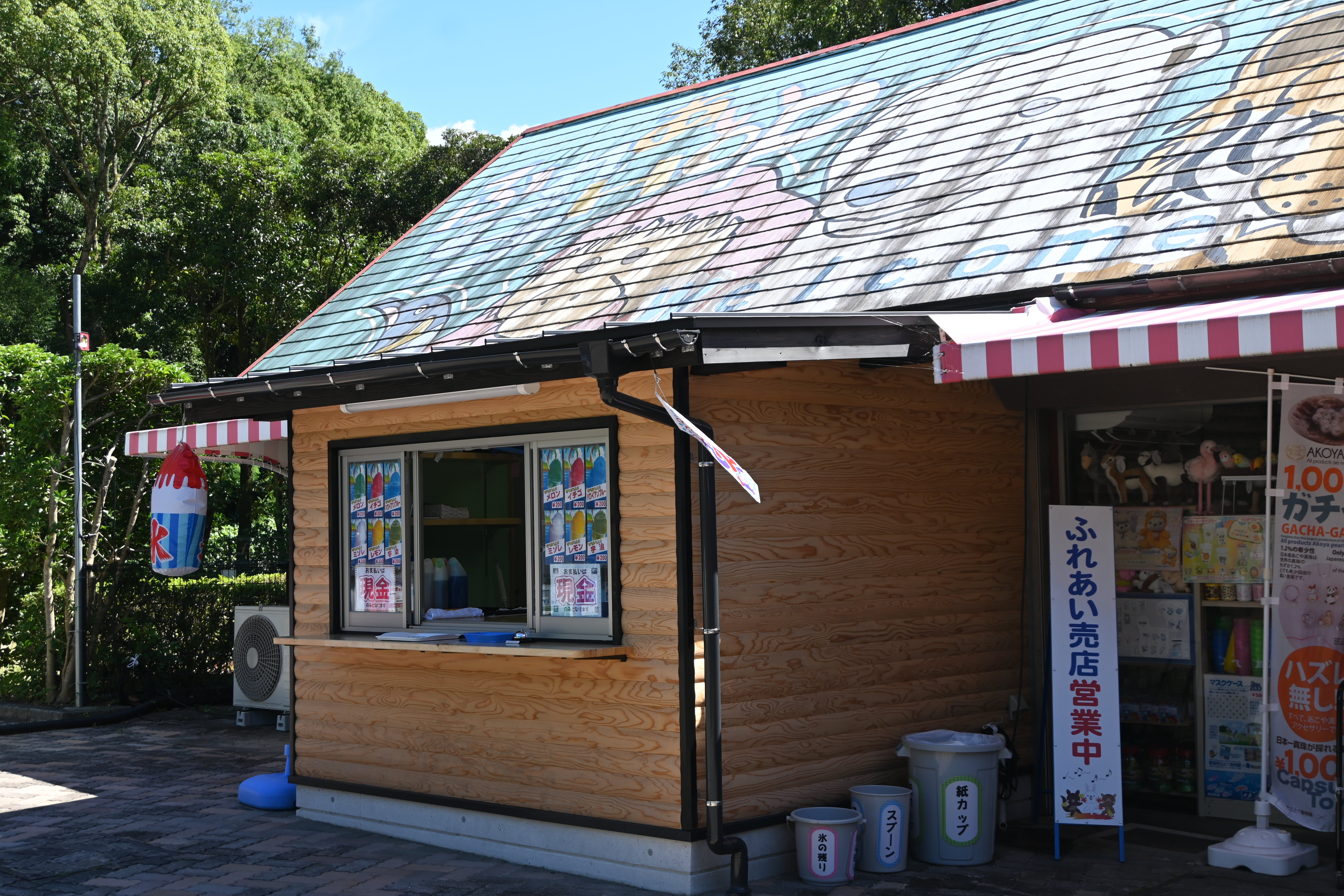 DSC_4321.JPG