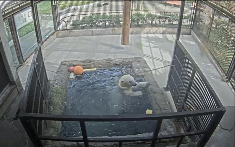 スクリーンショット 2025-09-22 161620.png