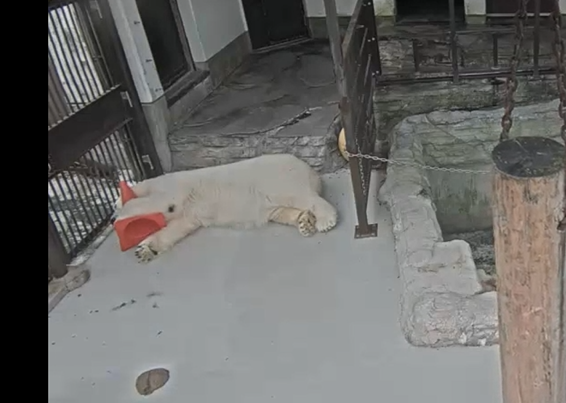 スクリーンショット 2025-10-21 161758.png