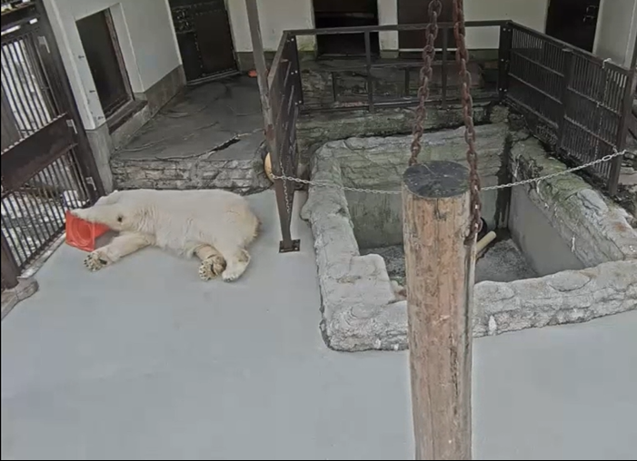 スクリーンショット 2025-10-28 172251.png