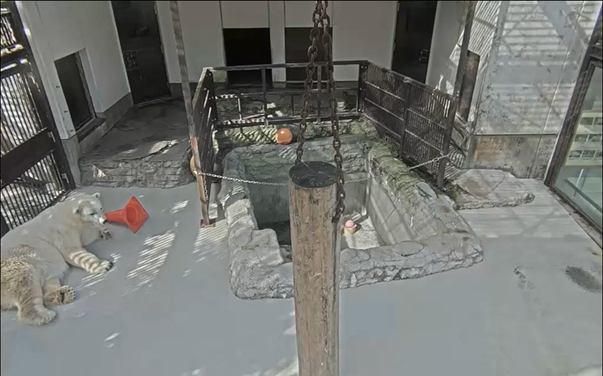 スクリーンショット 2025-11-04 175252.png