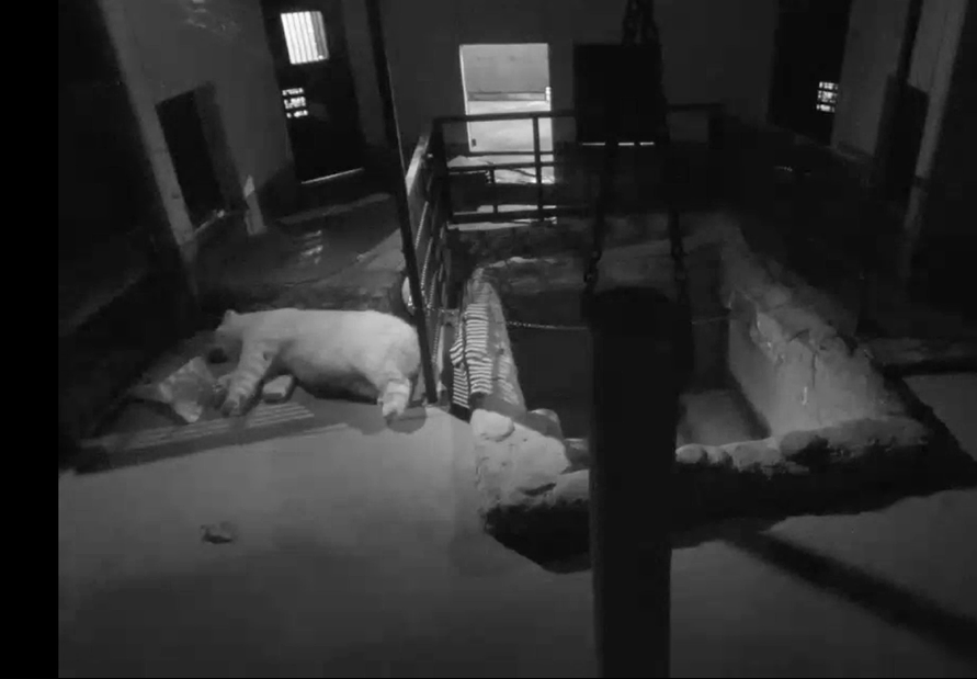 スクリーンショット 2025-11-25 180849.png