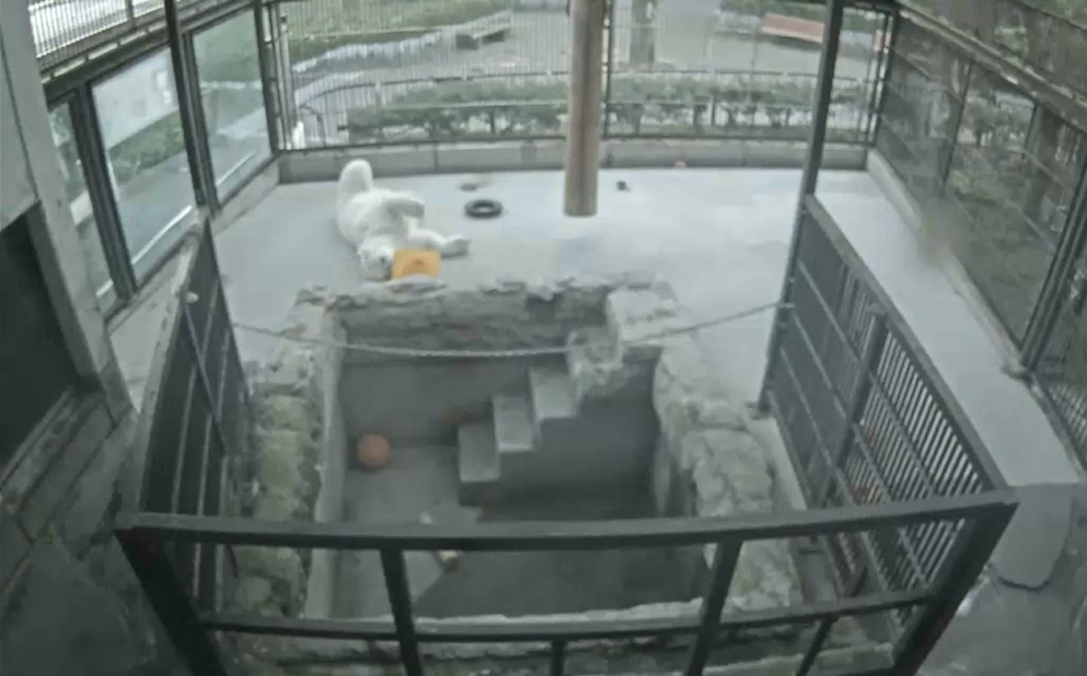 スクリーンショット 2025-12-01 191848.png