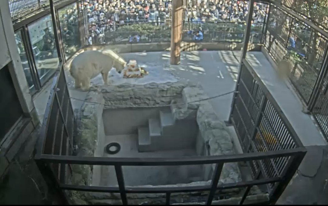 スクリーンショット 2025-12-06 182806.png