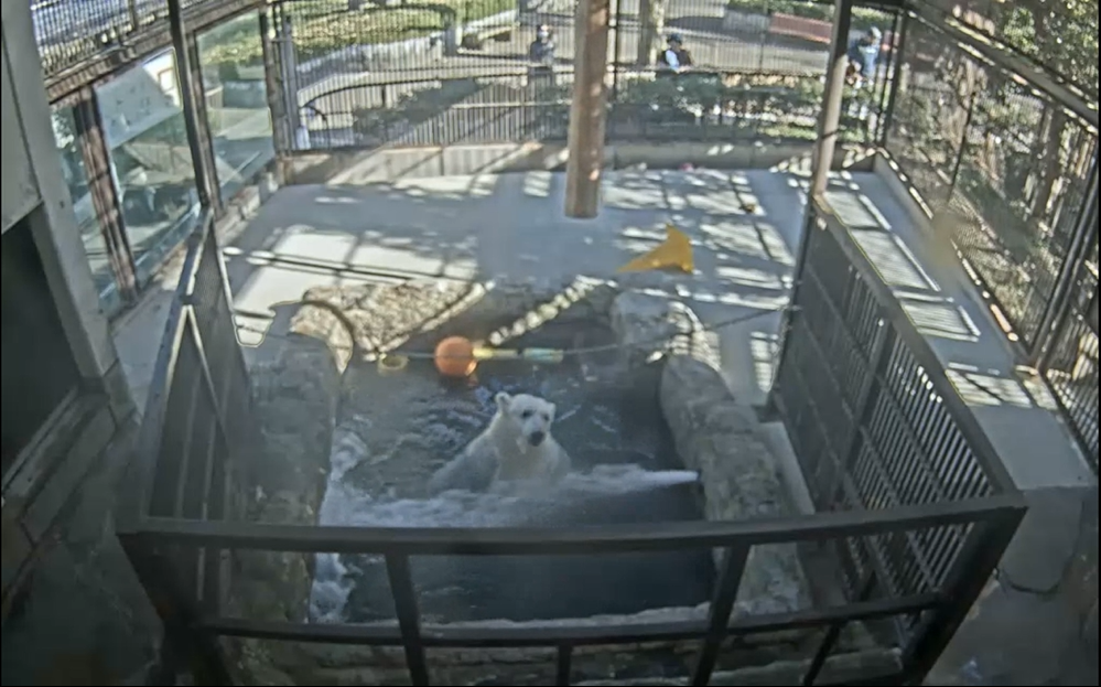 スクリーンショット 2025-12-09 151300.png