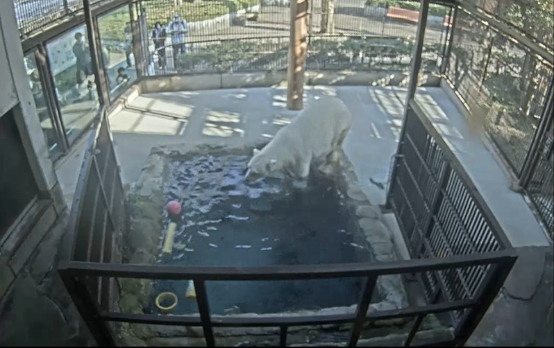 スクリーンショット 2025-12-16 163543.png