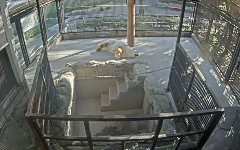 スクリーンショット 2025-12-23 150907.png