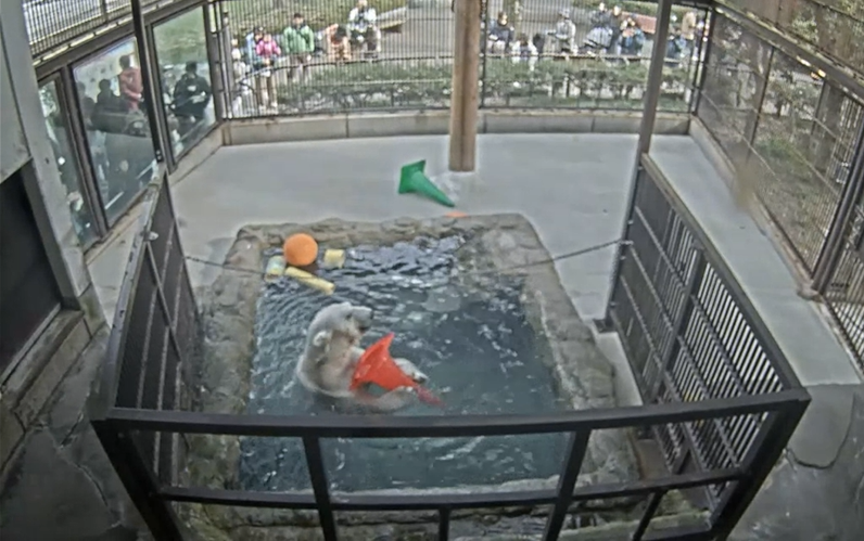 スクリーンショット 2026-01-03 164839.png