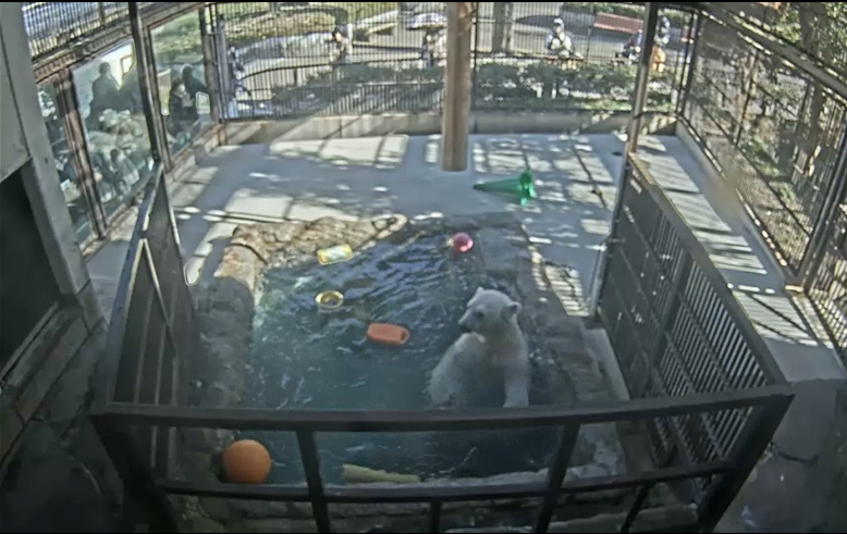 スクリーンショット 2026-01-07 173035.png