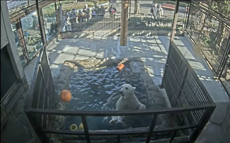 スクリーンショット 2026-01-13 100619.png