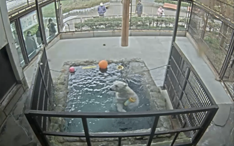 スクリーンショット 2026-01-20 170045.png