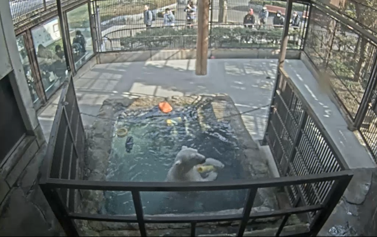 スクリーンショット 2026-01-27 165149.png