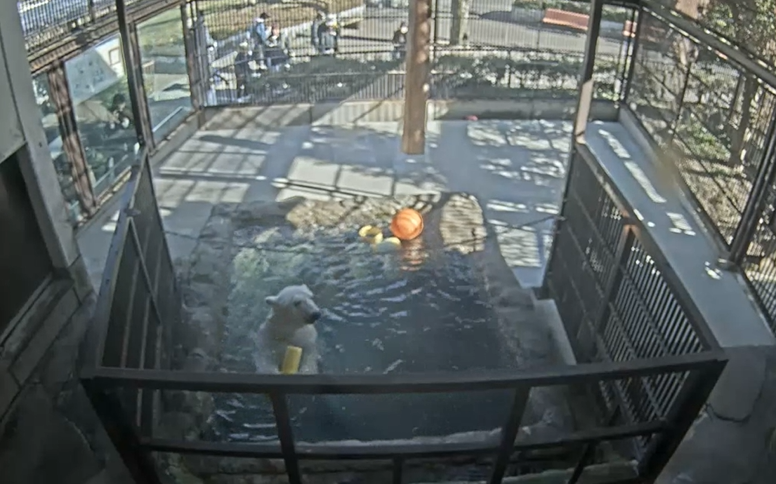 スクリーンショット 2026-02-03 173607.png