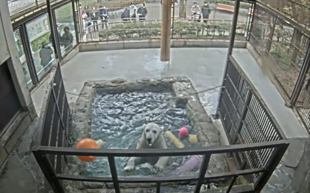 スクリーンショット 2026-02-08 180637.png