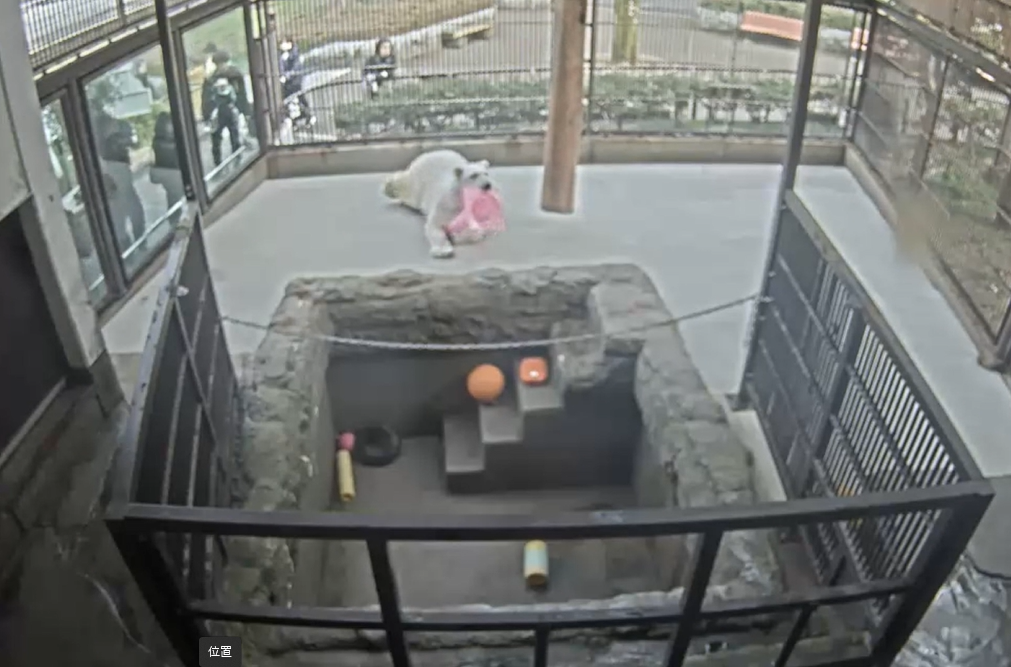 スクリーンショット 2026-02-11 170513.png