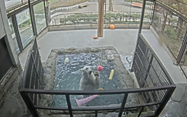 スクリーンショット 2026-02-25 073256.png