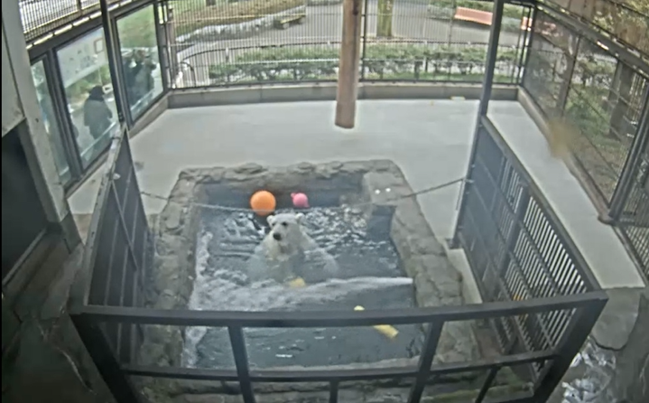 スクリーンショット 2026-03-03 173644.png