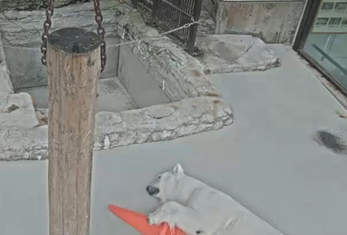 スクリーンショット 2026-03-10 153033.png