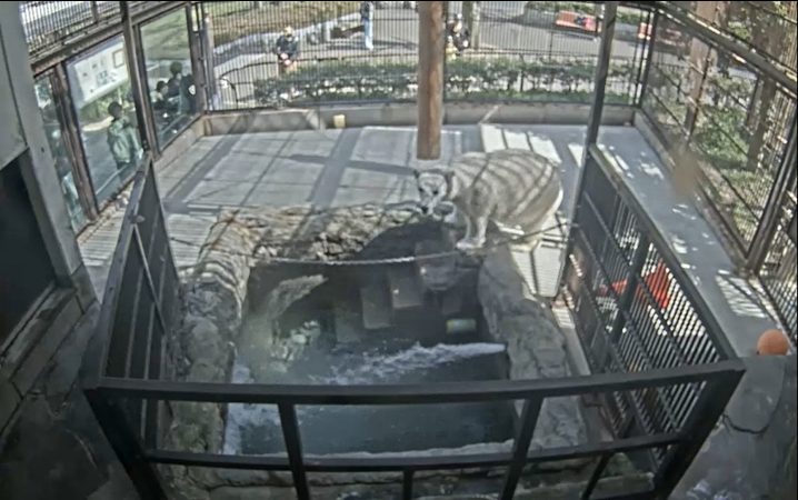 スクリーンショット 2026-03-17 170051.png