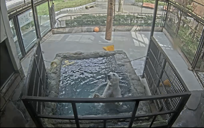 スクリーンショット 2026-04-13 181832.png